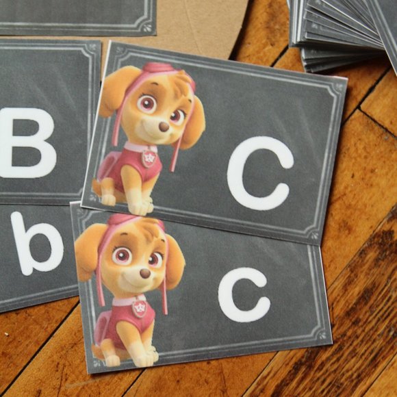 ❄️5/$25🎄Deluxe Paw Patrol Skye  Handmade Flash Cards Alphabet Upper & Lower - Picture 4 of 4
